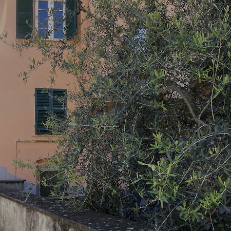 La Gio Del Fosso Ameglia Exterior foto