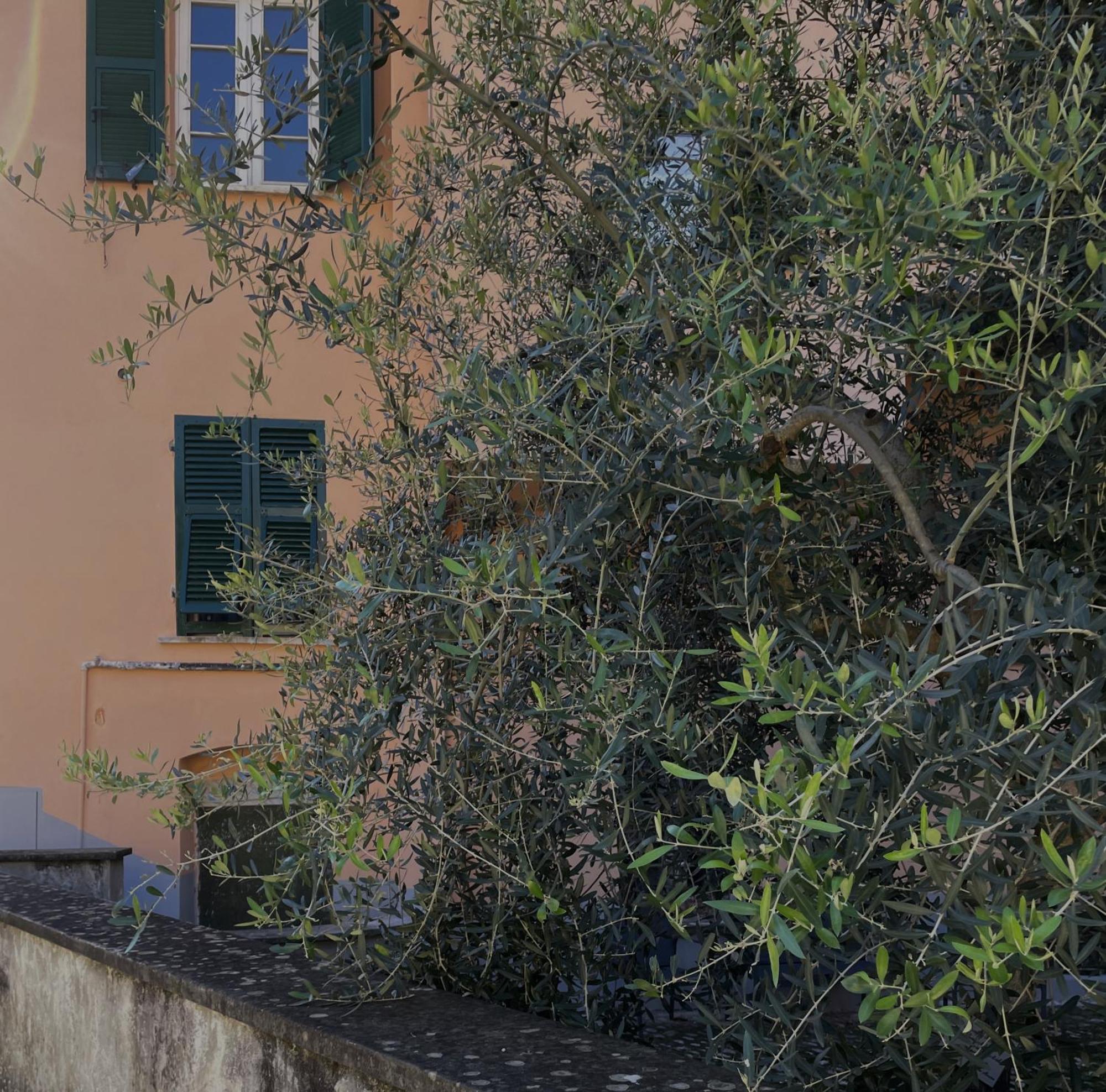 La Gio Del Fosso Ameglia Exterior foto